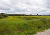 Detached villa with land for sale on España, Muro, ref: TR240884 photo