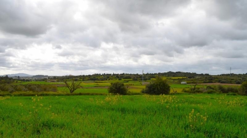 Balearic Islands - Muro - 15988m2