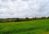 Detached villa with land for sale on España, Muro, ref: TR240884 photo