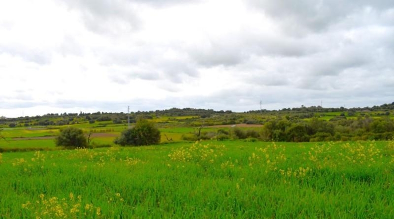 Balearic Islands - Muro - 15988m2