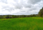 Detached villa with land for sale on España, Muro, ref: TR240884 photo
