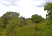 Detached villa with land for sale on España, Muro, ref: TR240884 photo