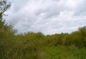 Detached villa with land for sale on España, Muro, ref: TR240884 photo