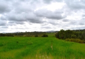 Detached villa with land for sale on España, Muro, ref: TR240884 photo