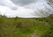 Detached villa with land for sale on España, Muro, ref: TR240884 photo