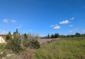 Terreno no urbanizable en venta en la España, Manacor, ref: TR357791 foto