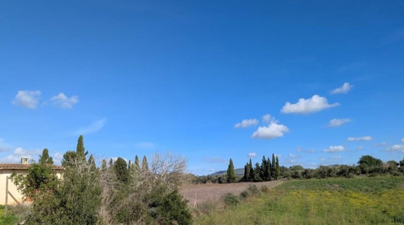 Islas Baleares - Manacor - 14603m2