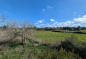 Terreno no urbanizable en venta en la España, Manacor, ref: TR357791 foto