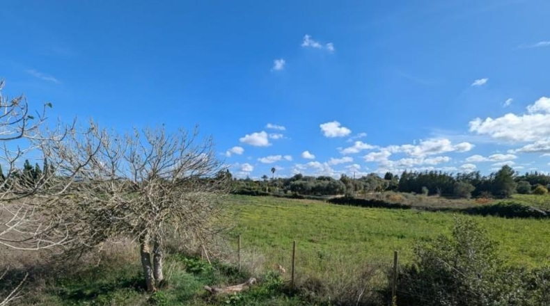 Islas Baleares - Manacor - 14603m2