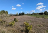 Terreno no urbanizable en venta en la España, Manacor, ref: TR357791 foto