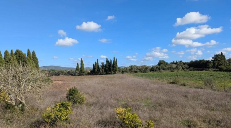 Islas Baleares - Manacor - 14603m2