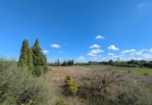 Terreno no urbanizable en venta en la España, Manacor, ref: TR357791 foto