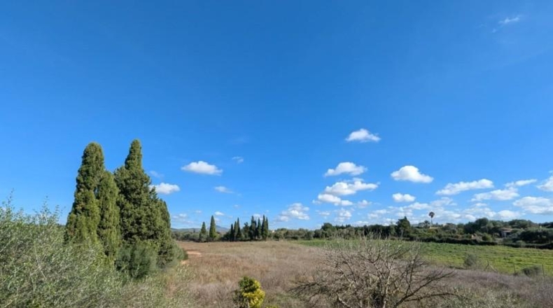 Islas Baleares - Manacor - 14603m2