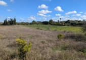 Terreno no urbanizable en venta en la España, Manacor, ref: TR357791 foto