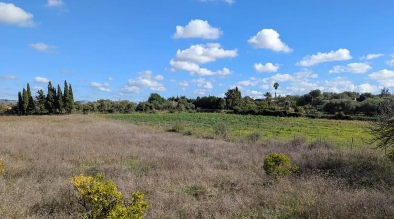 Islas Baleares - Manacor - 14603m2