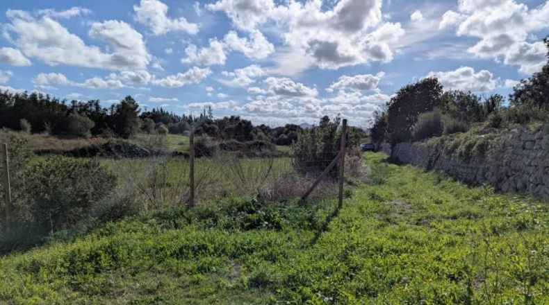 Islas Baleares - Manacor - 14603m2