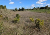 Terreno no urbanizable en venta en la España, Manacor, ref: TR357791 foto