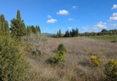Terreno no urbanizable en venta en la España, Manacor, ref: TR357791 foto