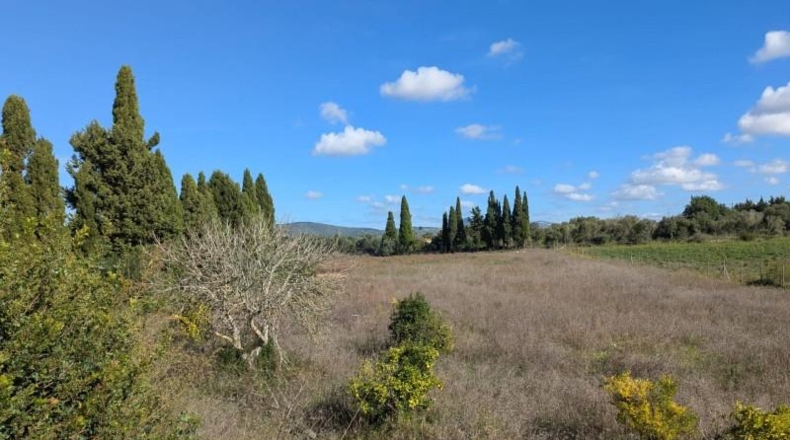 Islas Baleares - Manacor - 14603m2