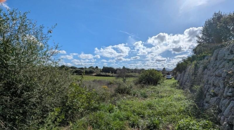 Islas Baleares - Manacor - 14603m2