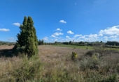 Terreno no urbanizable en venta en la España, Manacor, ref: TR357791 foto