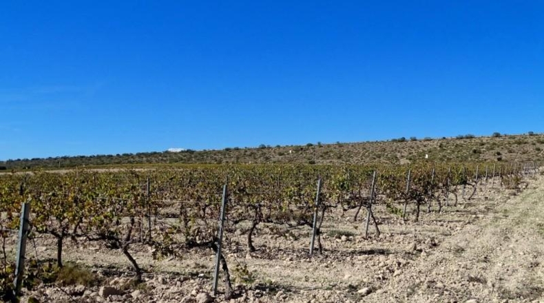 Valencia - Fuente la Higuera - 147651m2