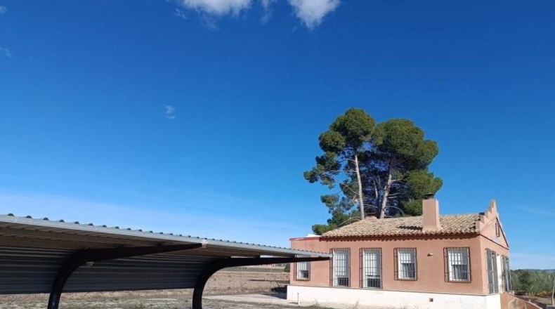 València - Valencia - 23000m2