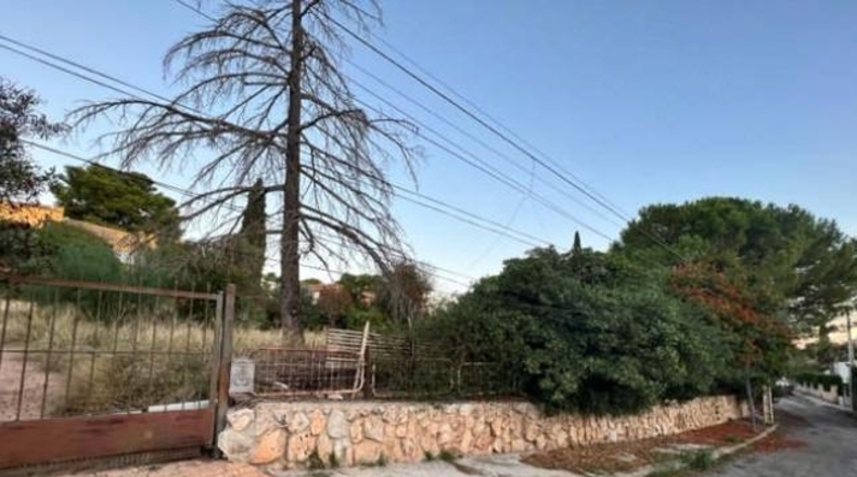 Valencia - Chiva - 3904m2