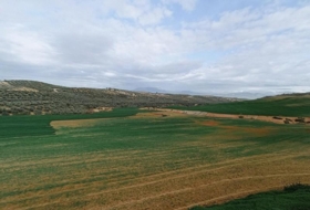 Foto 13