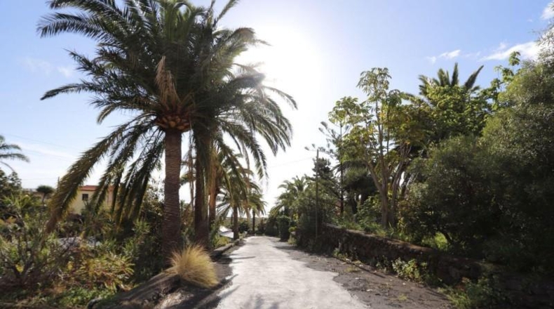Santa Cruz de Tenerife - San Pedro de Breña Alta - 1184m2