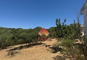 Detached villa with land for sale on España, Arriate, ref: TR402557 photo