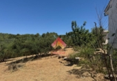 Detached villa with land for sale on España, Arriate, ref: TR402557 photo