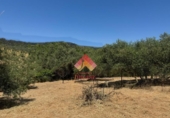 Detached villa with land for sale on España, Arriate, ref: TR402557 photo