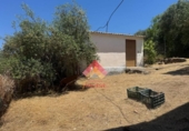 Detached villa with land for sale on España, Arriate, ref: TR402557 photo