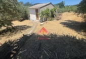 Detached villa with land for sale on España, Arriate, ref: TR402557 photo