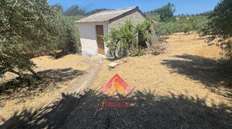 Malaga - Arriate - 95m2
