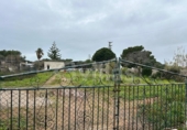 Terreno no urbanizable en venta en la España, Ciutadella de Menorca, ref: TR380562 foto