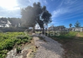 Terreno no urbanizable en venta en la España, Ciutadella de Menorca, ref: TR380562 foto