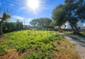 Terreno no urbanizable en venta en la España, Ciutadella de Menorca, ref: TR380562 foto