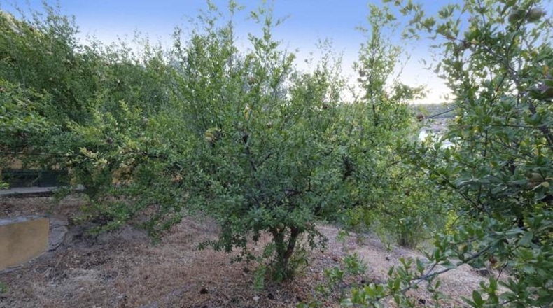 Granada - Cozvíjar - 880m2