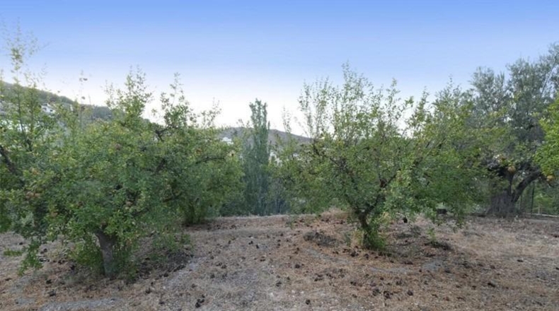 Granada - Cozvíjar - 880m2
