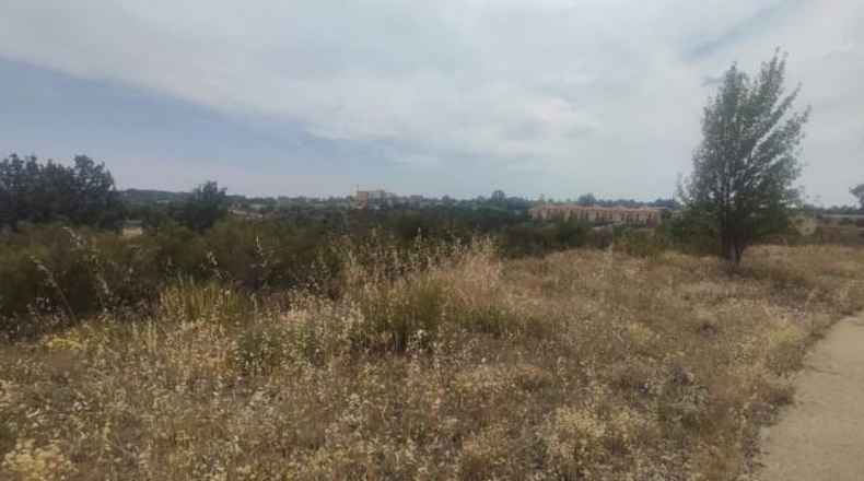Leon - Garrafe de Torío - 11192m2