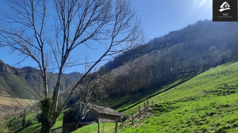 Cantabria - Vega de Pas - 10553m2