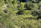 Suelo urbano en venta en la España, Puigpunyent, ref: TR263911 foto