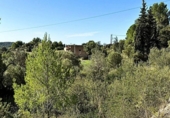 Suelo urbano en venta en la España, Puigpunyent, ref: TR263911 foto