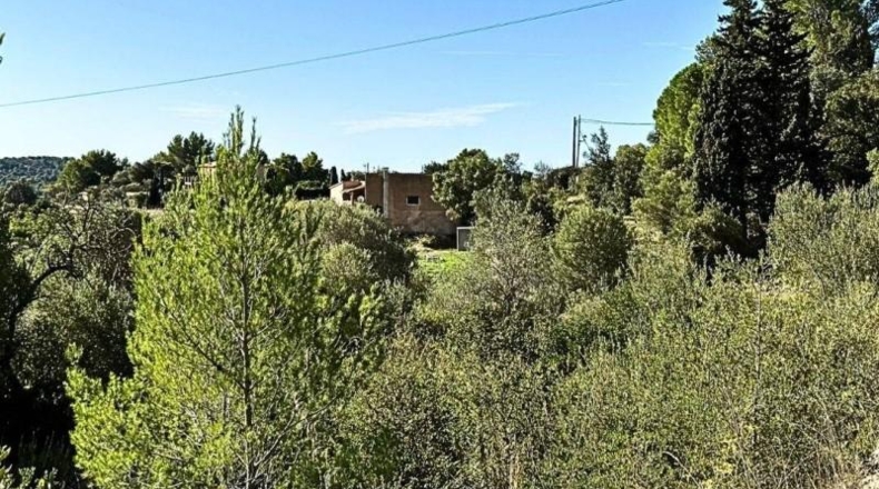 Islas Baleares - Puigpuñent - 2500m2