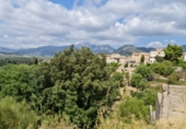 Suelo urbano en venta en la España, Campanet, ref: TR123533 foto
