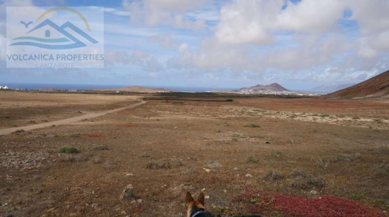 Las Palmas - Tinajo - 14430m2