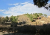 Parcela urbanizable en venta en la España, Molina de Segura, ref: TR114509 foto