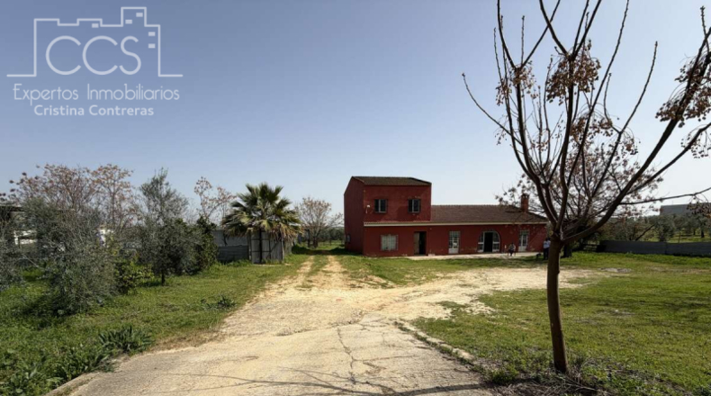 Sevilla - Pilas - 39764m2